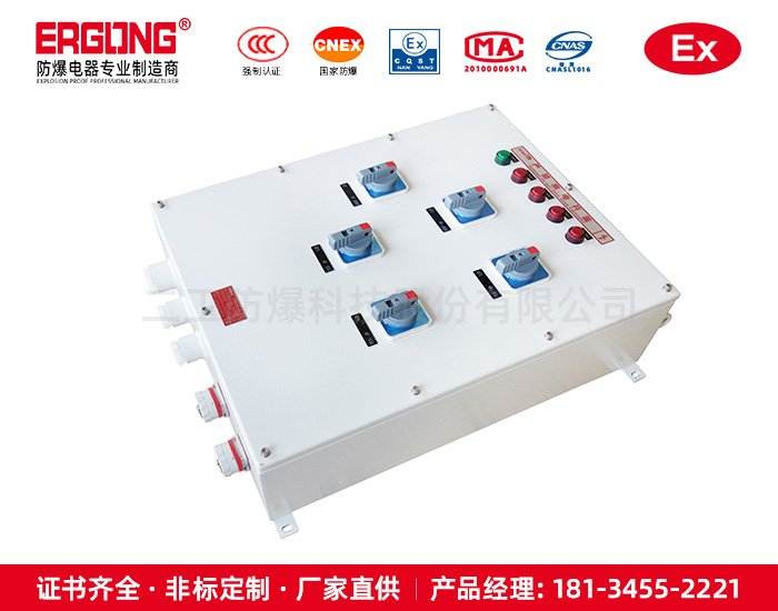 防爆配電檢修箱-15